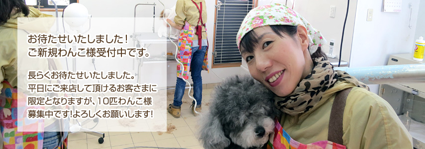 ペットショップ　富山　ドッグスショップ コジョー