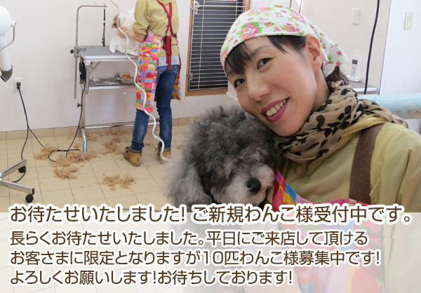 ペットショップ　富山　ドッグスショップ コジョー
